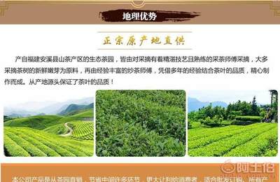 正山小種 源自武夷的正宗紅茶之選