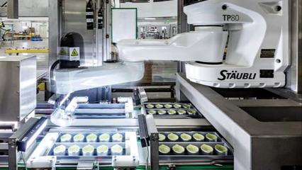 科技賦能傳統，匠心融合智造——央視網深度解碼小罐茶黃山智能工廠